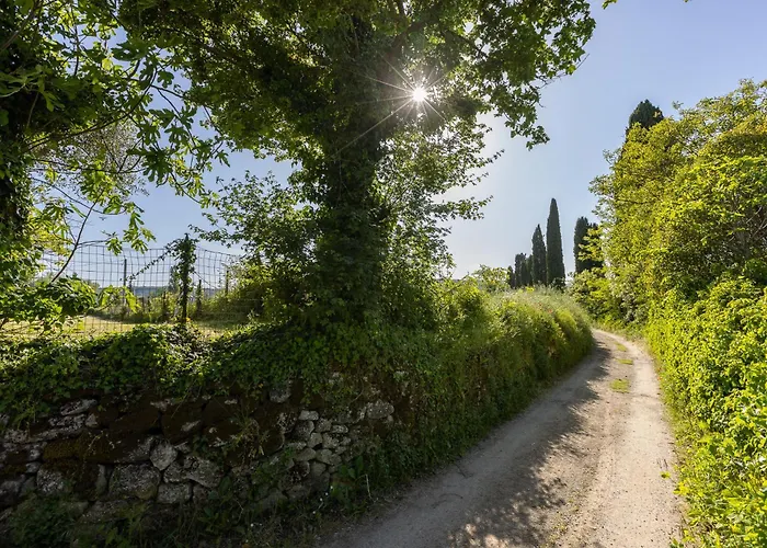 Vecchio Molino Gorone